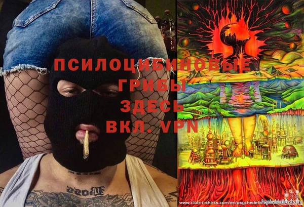 сатива Алексеевка