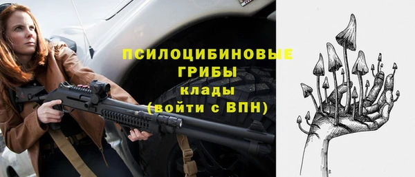 гидра Алзамай