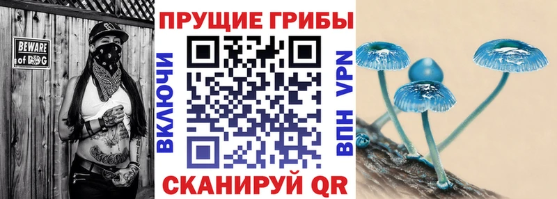 Псилоцибиновые грибы прущие грибы Ленинск-Кузнецкий