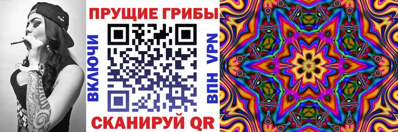 Галлюциногенные грибы MAGIC MUSHROOMS  Ленинск-Кузнецкий 