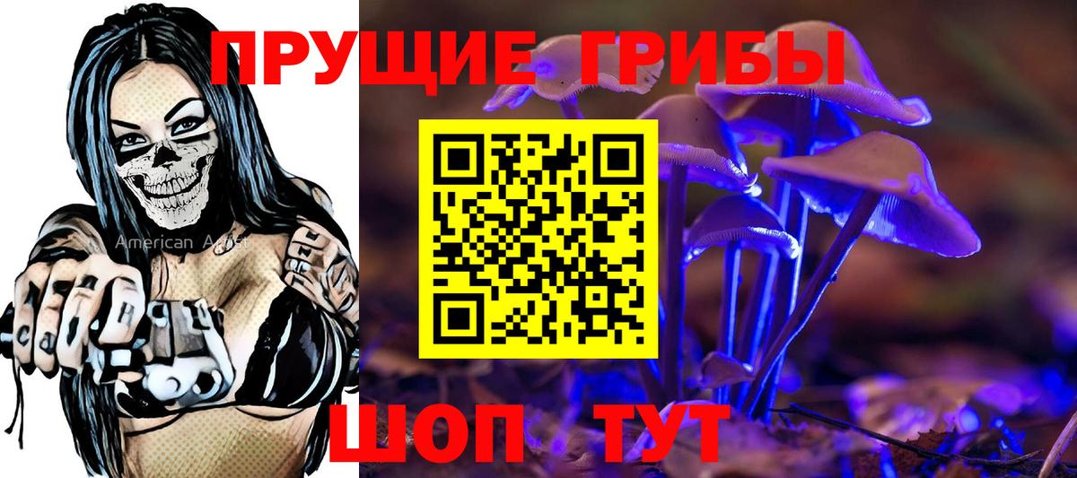 сколько стоит  Ленинск-Кузнецкий  Псилоцибиновые грибы прущие грибы 