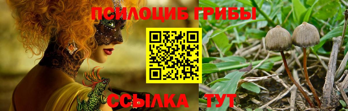 Псилоцибиновые грибы ЛСД  Галлюциногенные грибы Cubensis  Вход с VPN  Ленинск-Кузнецкий 